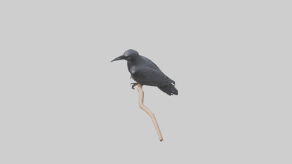 Crow perched model VR / AR / low-poly