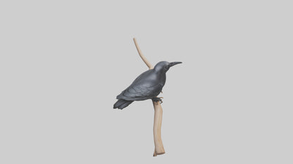 Crow perched model VR / AR / low-poly