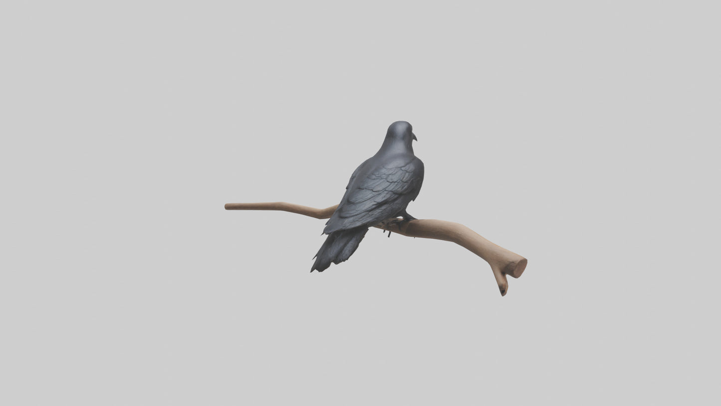 Crow perched model VR / AR / low-poly