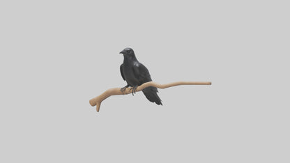 Crow perched model VR / AR / low-poly