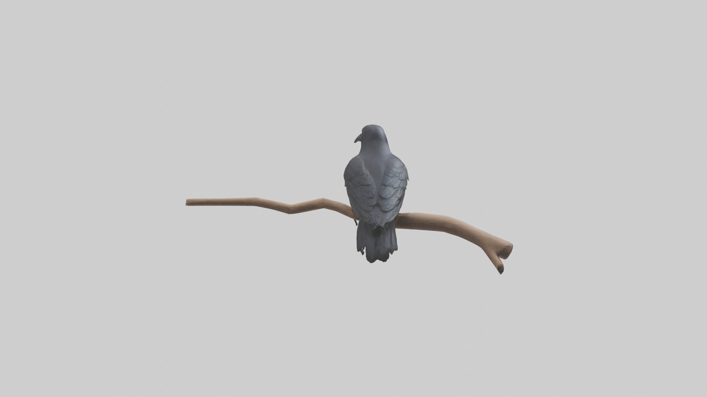 Crow perched model VR / AR / low-poly