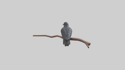 Crow perched model VR / AR / low-poly