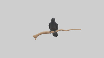 Crow perched model VR / AR / low-poly