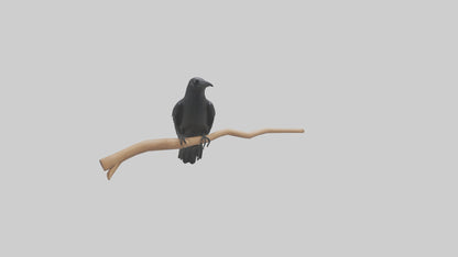 Crow perched model VR / AR / low-poly