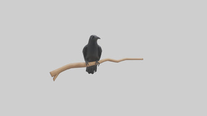 Crow perched model VR / AR / low-poly