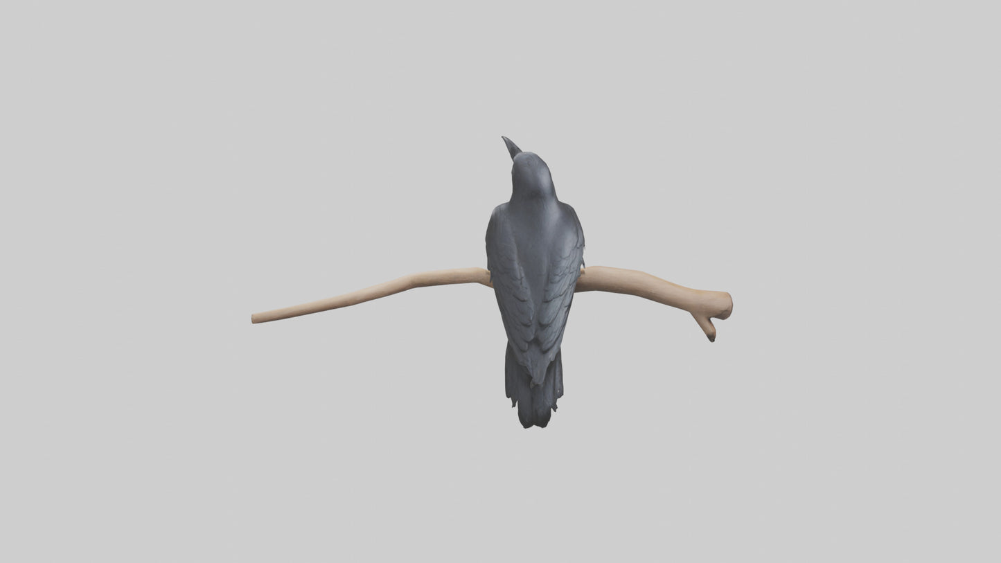 Crow perched model VR / AR / low-poly