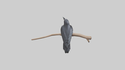 Crow perched model VR / AR / low-poly
