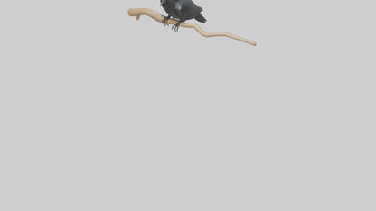 Crow perched model VR / AR / low-poly