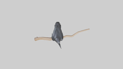Crow perched model VR / AR / low-poly