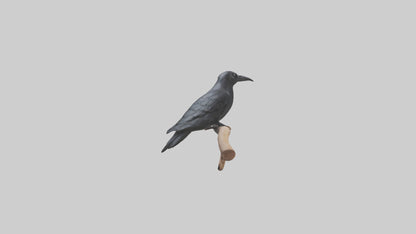 Crow perched model VR / AR / low-poly