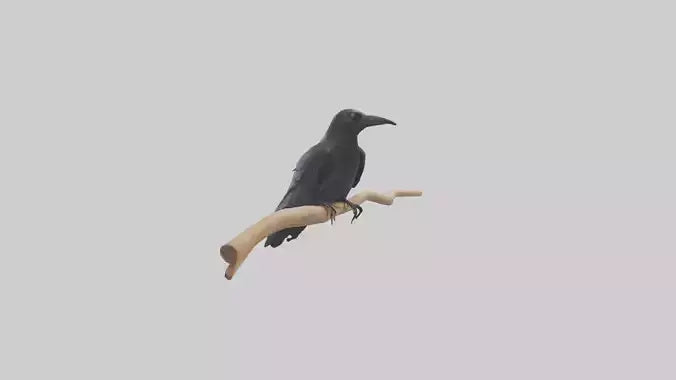 Crow perched model VR / AR / low-poly