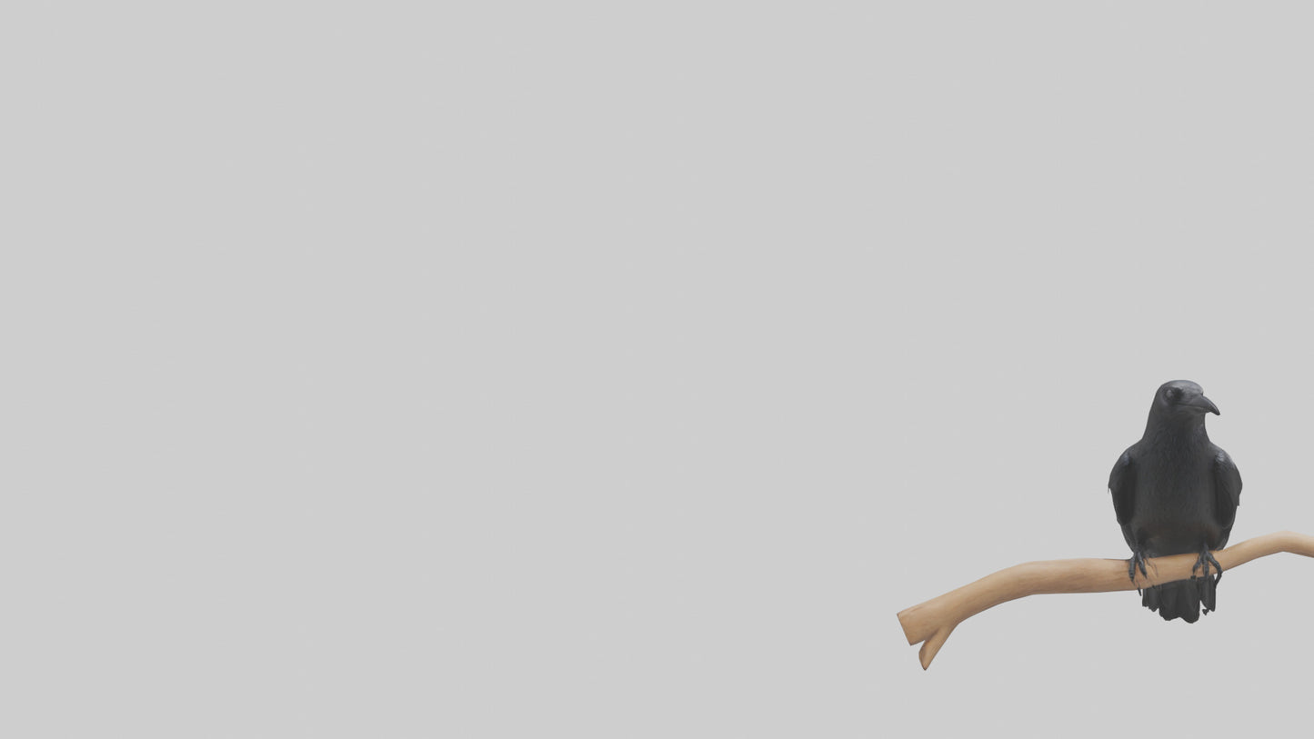 Crow perched model VR / AR / low-poly