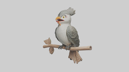 Cuckoo Bird singing model VR / AR / low-poly