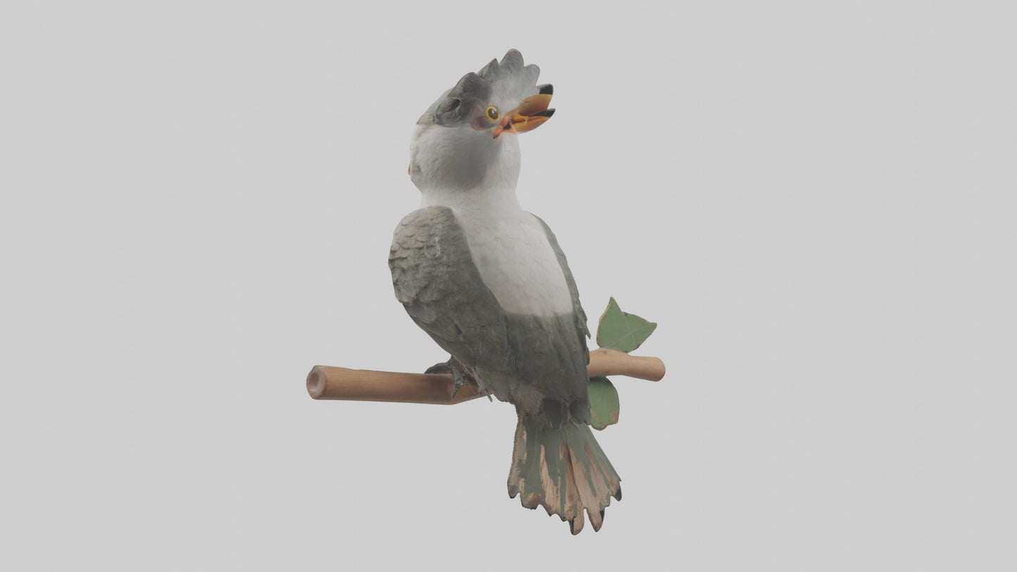 Cuckoo Bird singing model VR / AR / low-poly