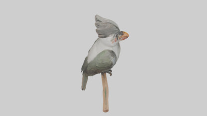 Cuckoo Bird singing model VR / AR / low-poly