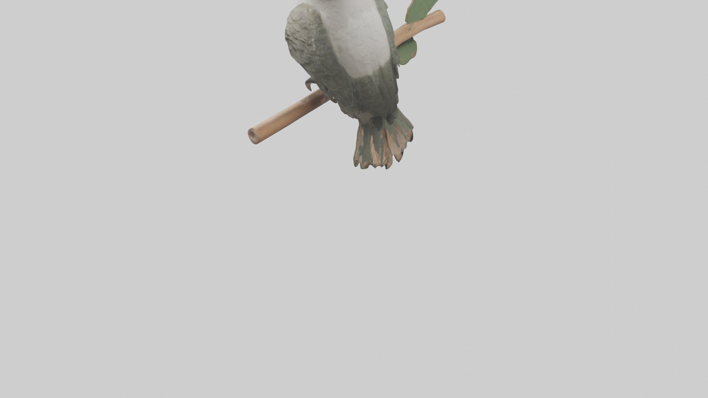 Cuckoo Bird singing model VR / AR / low-poly