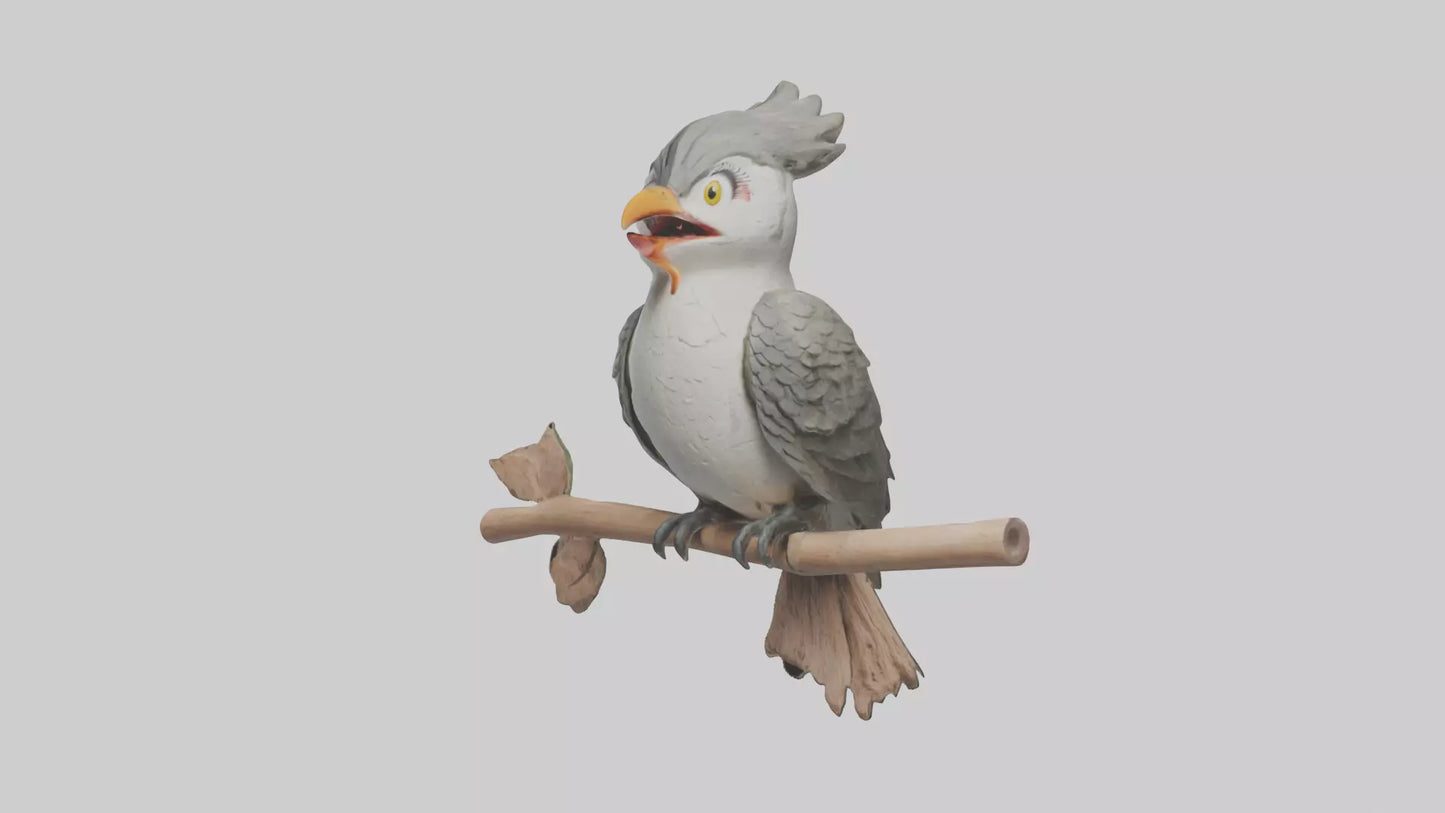 Cuckoo Bird singing model VR / AR / low-poly