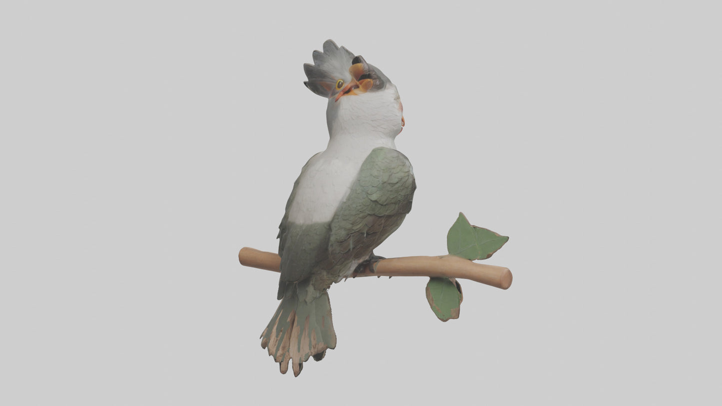 Cuckoo Bird singing model VR / AR / low-poly