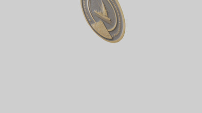 Cultural Achievement Medal model VR / AR / low-poly