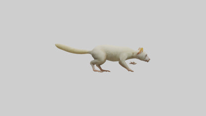 Cuscus climbing model VR / AR / low-poly