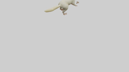 Cuscus climbing model VR / AR / low-poly