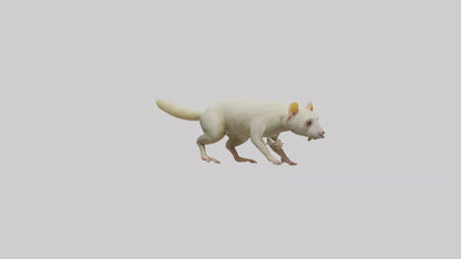 Cuscus climbing model VR / AR / low-poly