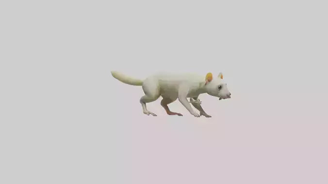 Cuscus climbing model VR / AR / low-poly