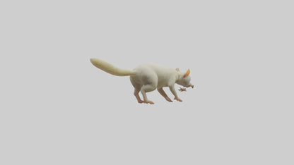 Cuscus climbing model VR / AR / low-poly