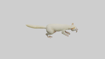 Cuscus climbing model VR / AR / low-poly