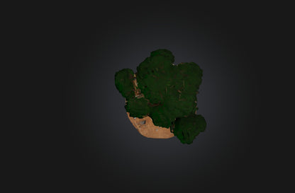 3D model Custom-Built Treehouse VR / AR / low-poly