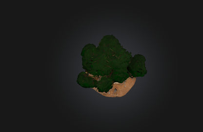 3D model Custom-Built Treehouse VR / AR / low-poly