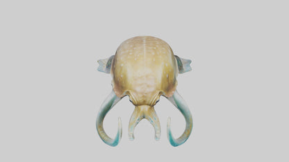 3D model Cuttlefish statue model VR / AR / low-poly