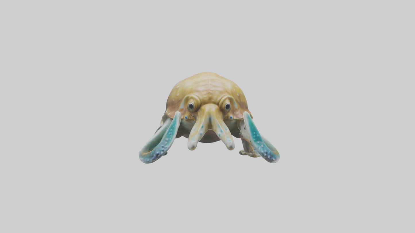 3D model Cuttlefish statue model VR / AR / low-poly
