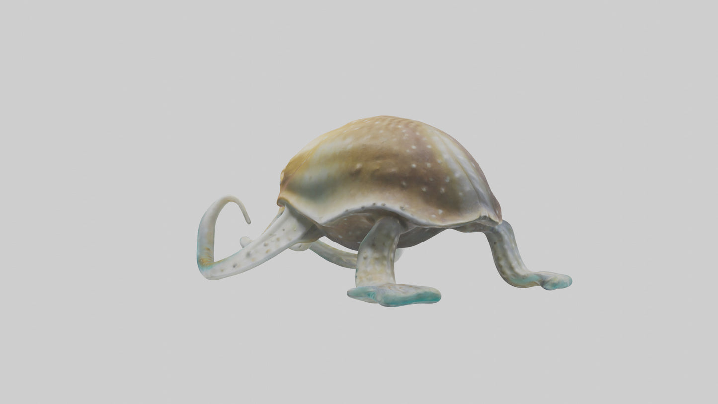 3D model Cuttlefish statue model VR / AR / low-poly