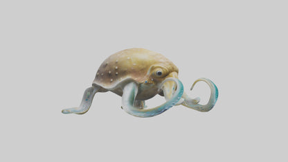 3D model Cuttlefish statue model VR / AR / low-poly