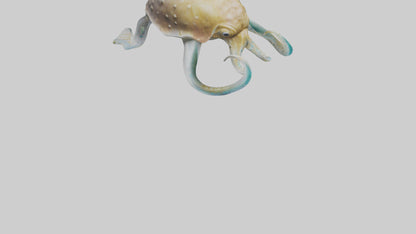 3D model Cuttlefish statue model VR / AR / low-poly