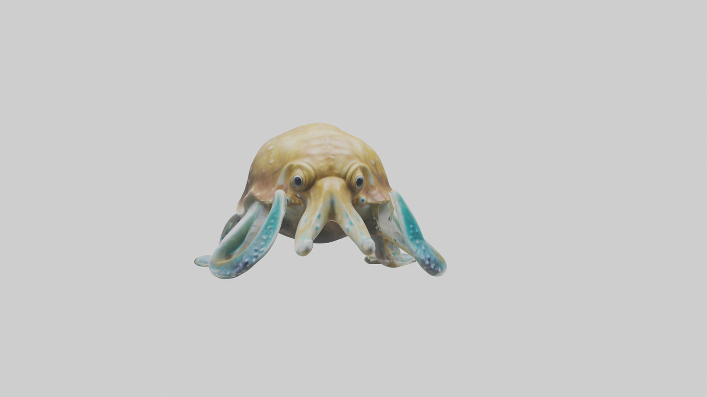 3D model Cuttlefish statue model VR / AR / low-poly