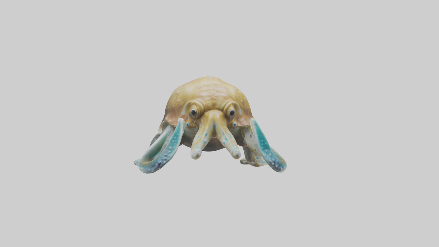 3D model Cuttlefish statue model VR / AR / low-poly