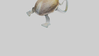 3D model Cuttlefish statue model VR / AR / low-poly