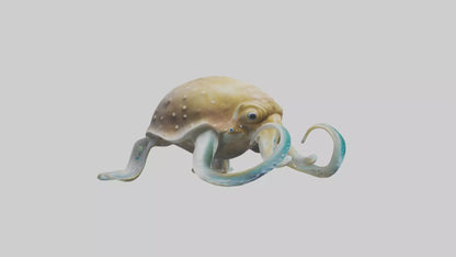 3D model Cuttlefish statue model VR / AR / low-poly