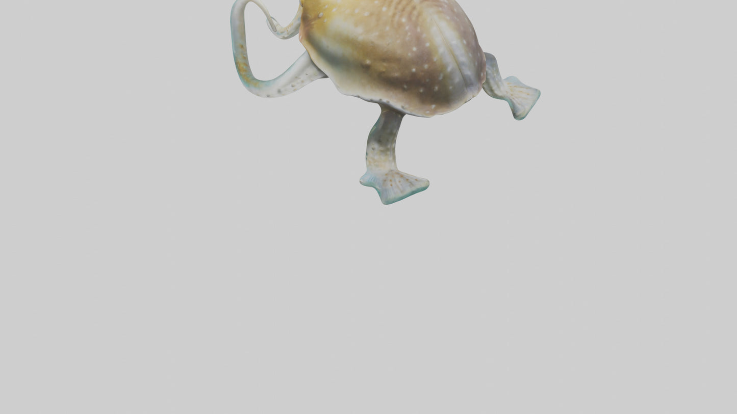 3D model Cuttlefish statue model VR / AR / low-poly
