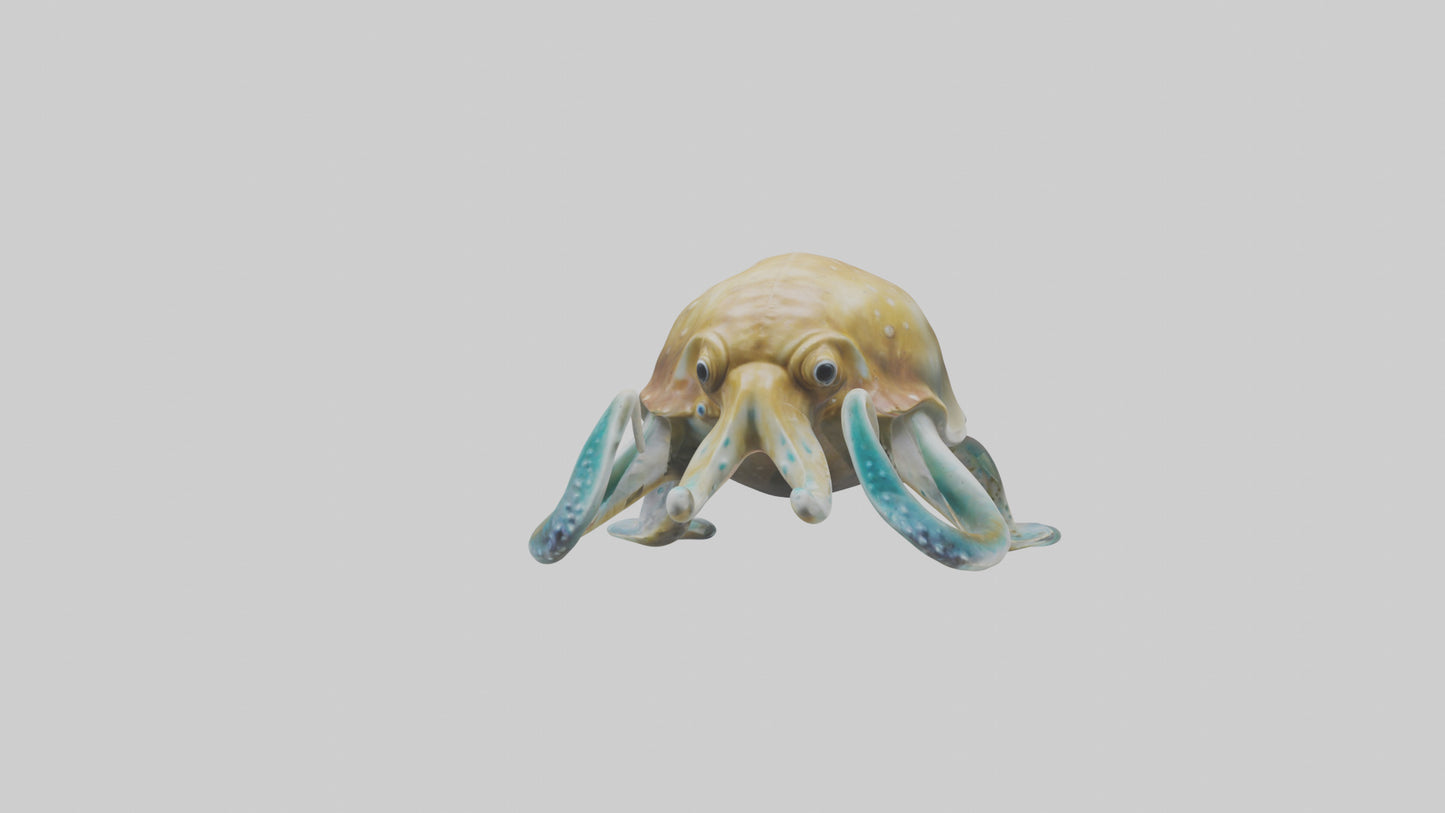 3D model Cuttlefish statue model VR / AR / low-poly