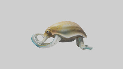 3D model Cuttlefish statue model VR / AR / low-poly