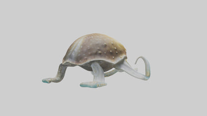 3D model Cuttlefish statue model VR / AR / low-poly