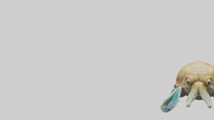 3D model Cuttlefish statue model VR / AR / low-poly