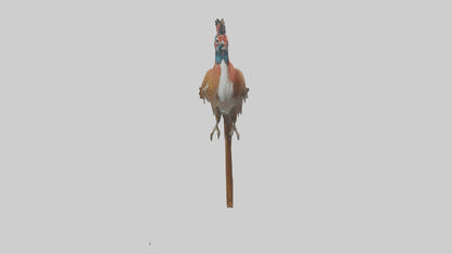 Daimyos Pheasant perched model VR / AR / low-poly