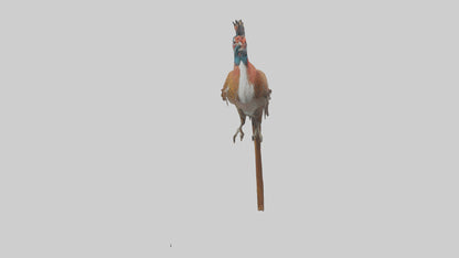 Daimyos Pheasant perched model VR / AR / low-poly