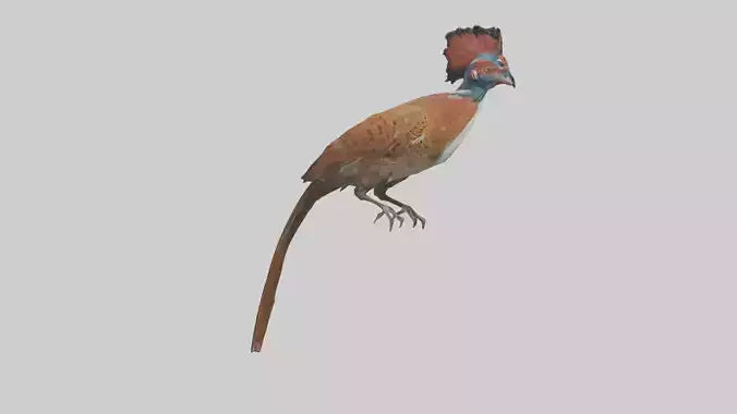 Daimyos Pheasant perched model VR / AR / low-poly
