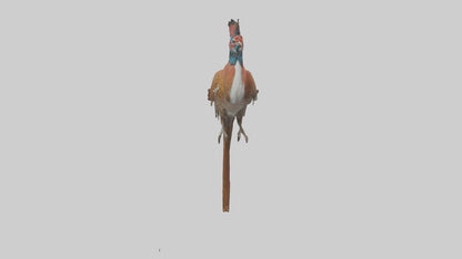 Daimyos Pheasant perched model VR / AR / low-poly