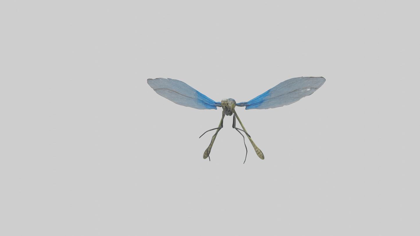 Damselfly landing model VR / AR / low-poly